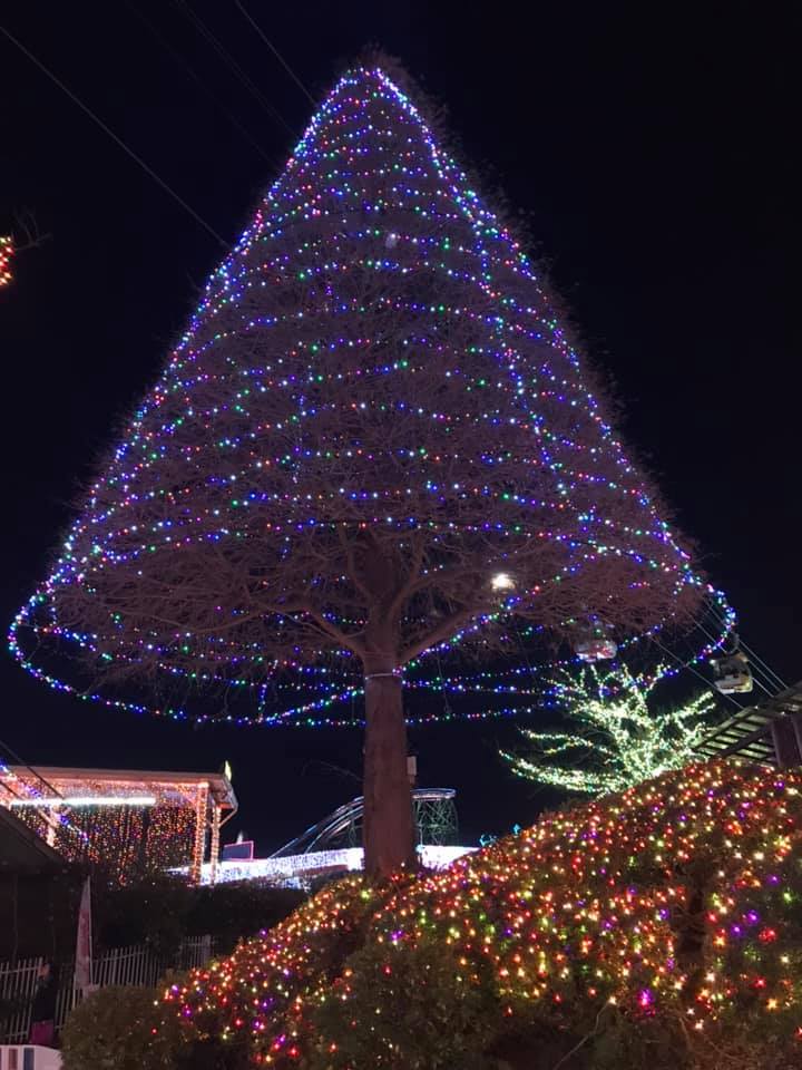 よみうりランドのジュエルミネーション